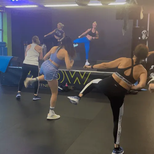 corsi les milla wow fitness house