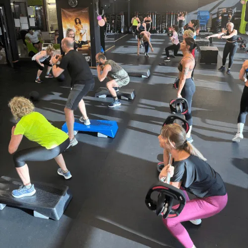 wow fitness house