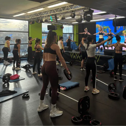wow fitness house